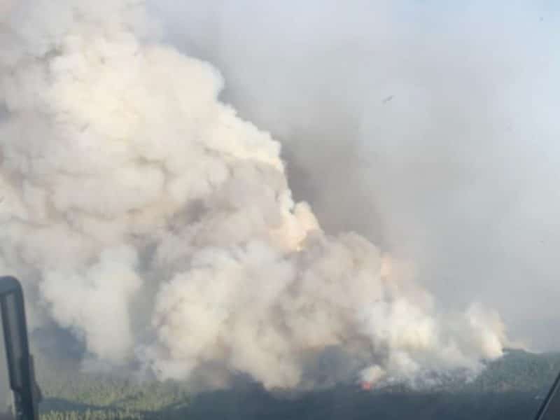 Fires grow within Fort Nelson Fire zone, PGFC acknowledges rain ‘reduced fire behaviour’